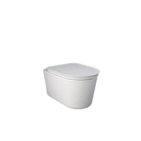 pol_pm_VALET-Miska-WC-podwieszana-Rimless-56x36-3-cm-bialy-mat-55453_3